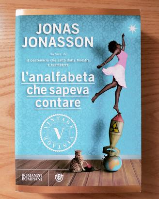 L'analfabeta che sapeva contare libro