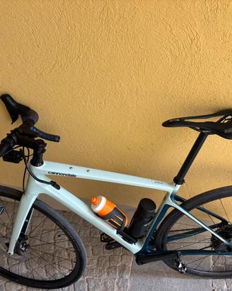 bici compagna di viaggio