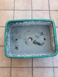 Vaso per bonsai