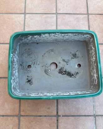 Vaso per bonsai