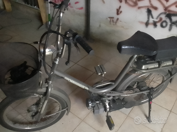 Velomoschito garelli