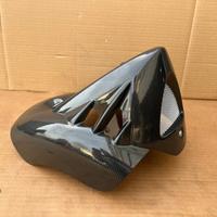 Puntale Carena in Carbonio Bmw F 650 CS