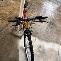 Bicicletta ragazzino