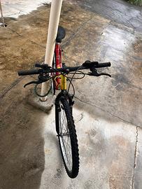 Bicicletta ragazzino