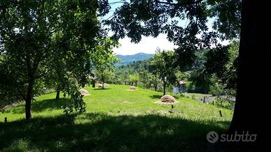 Cascina ristrutturata nel Parco del Fenera