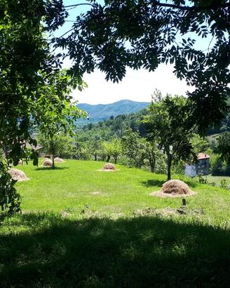 Cascina ristrutturata nel Parco del Fenera