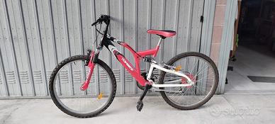 bicicletta