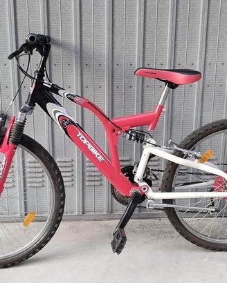 bicicletta