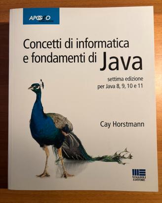 Concetti di informatica e fondamenti di Java