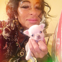 I cinque moschettieri