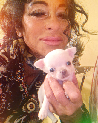 I cinque moschettieri