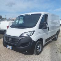Fiat Ducato furgone tetto basso