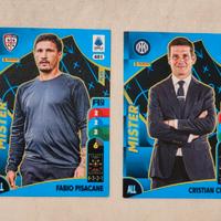 Panini Adrenalyn 4 mister