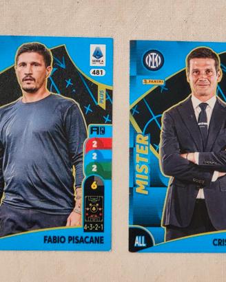 Panini Adrenalyn 4 mister