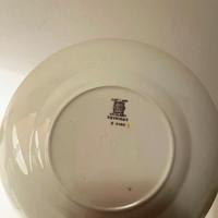 2  PIATTI PORTATA euro 5 totali