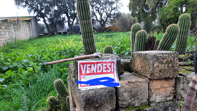 San Vero Milis terreno zona C