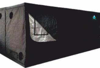 grow box nuova