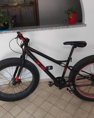 bicicletta 