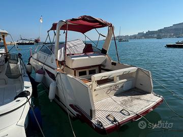 Barca a motore entrobordo