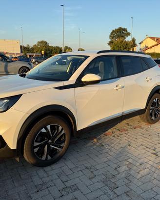 Peugeot 2008 1.5 BlueHDi 130 CV EAT8 Allure