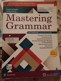 Mastering Grammar