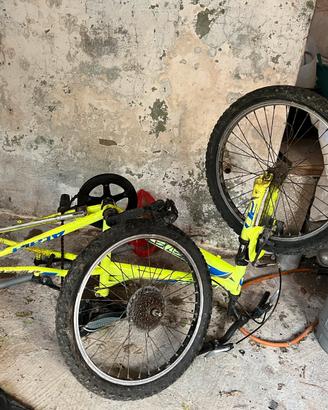 Bicicletta bambino
