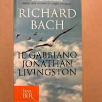 il gabbiano jonathan livingston