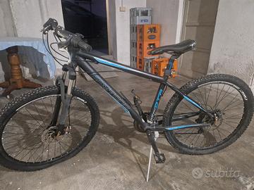 bicicletta Daytona 