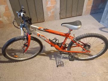 Bici bambino 24