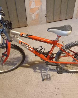 Bici bambino 24