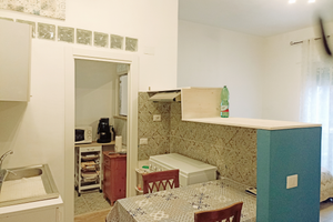 Aprilia centralissimo