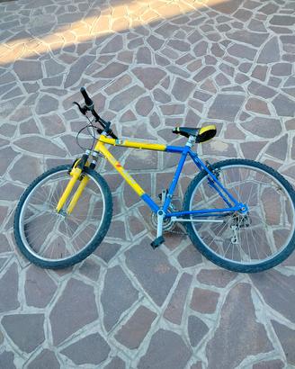 Bicicletta Mountain bike