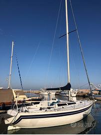 Barca a vela 10 metri