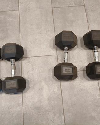 coppia manubri dumbell 20 e 22 kg