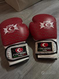 Guantoni da Boxe 🥊