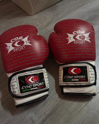 Guantoni da Boxe 🥊
