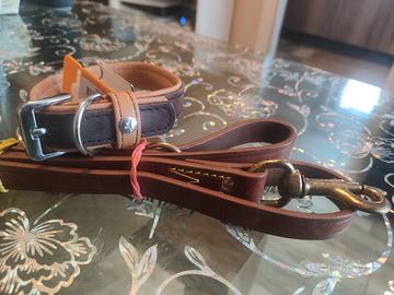 Guinzaglio e collare 