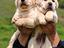 Immagine 1