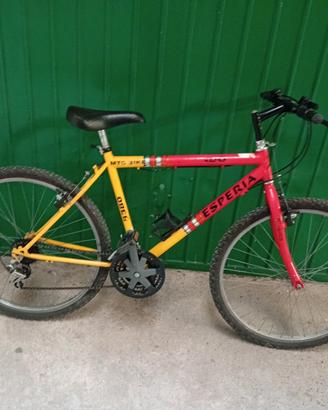 bicicletta Mountain bike unisex
