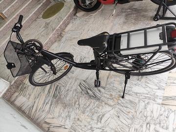 bicicletta elettrica 