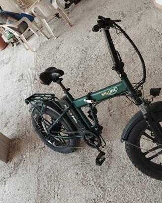 Bicicletta elettrica