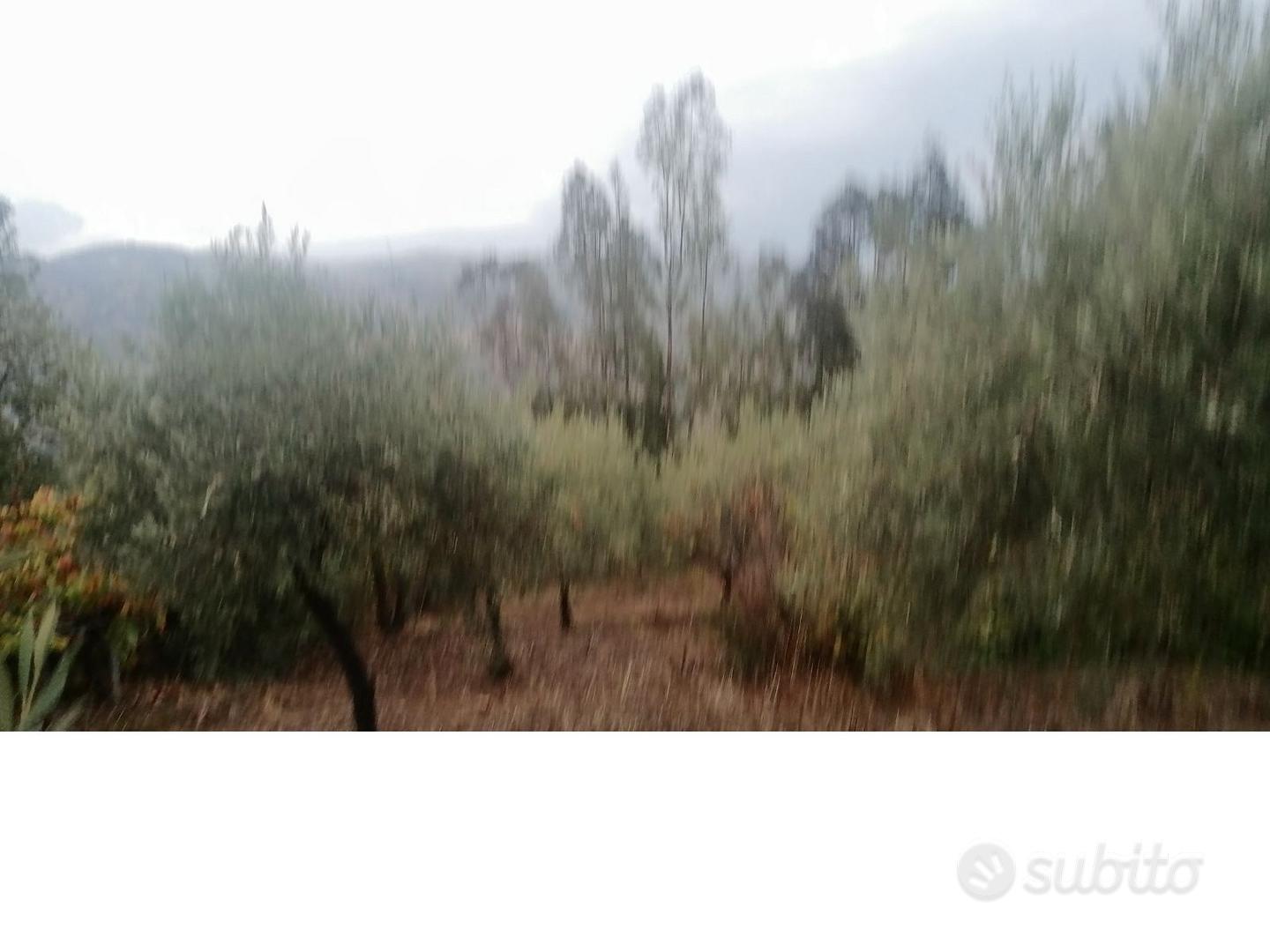 Terreno con rustico - Vista 2