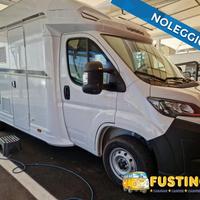 WEINSBERG CARASUITE 650 MG 2026 NOLO- 5 POSTI