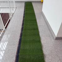 Prato sintetico striscia di 5 metri x 50cm