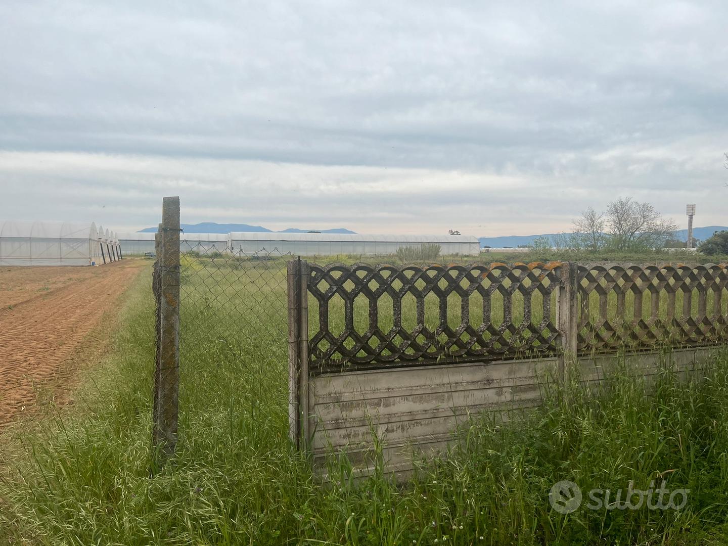 Terreno agricolo consorzio "le rose" - Vista 6