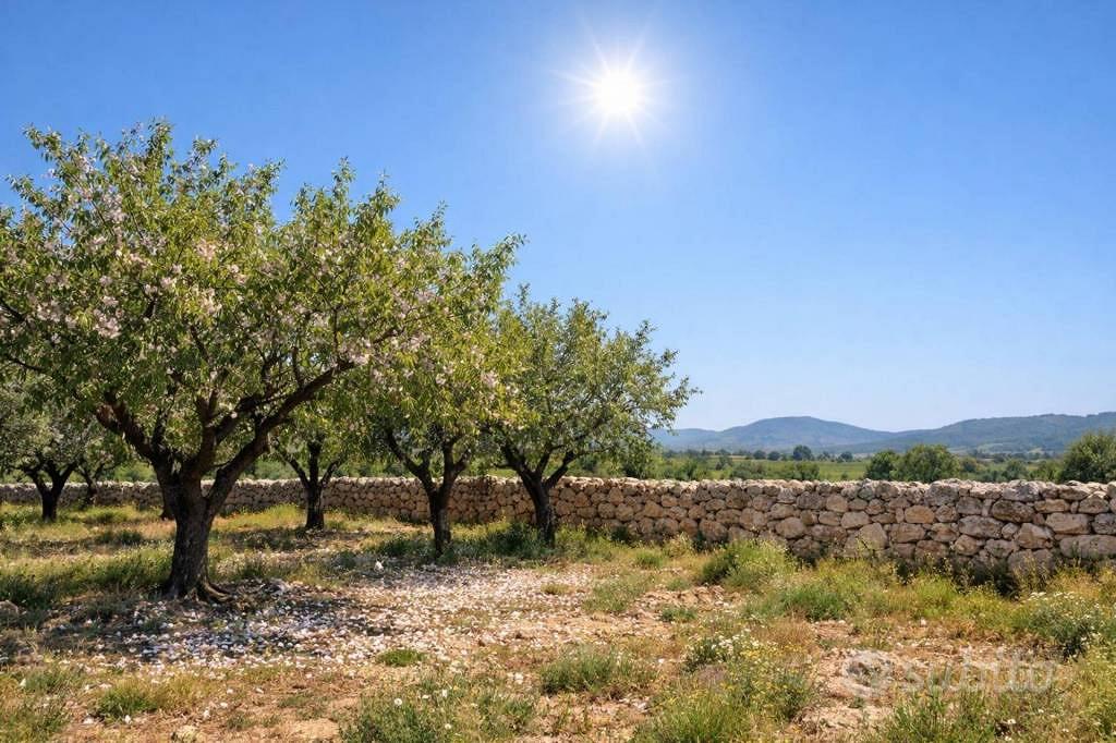 Immobile in asta di 33540 m² a Cropani - Vista 5