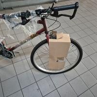 Bicicletta 