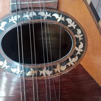 Mandolino centenario