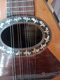 Mandolino centenario