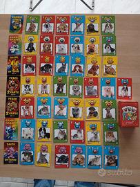 Lotto Cartolotte Amici Cucciolotti Anno 2015